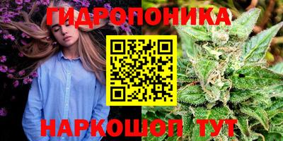 прущие крисы Пушкино