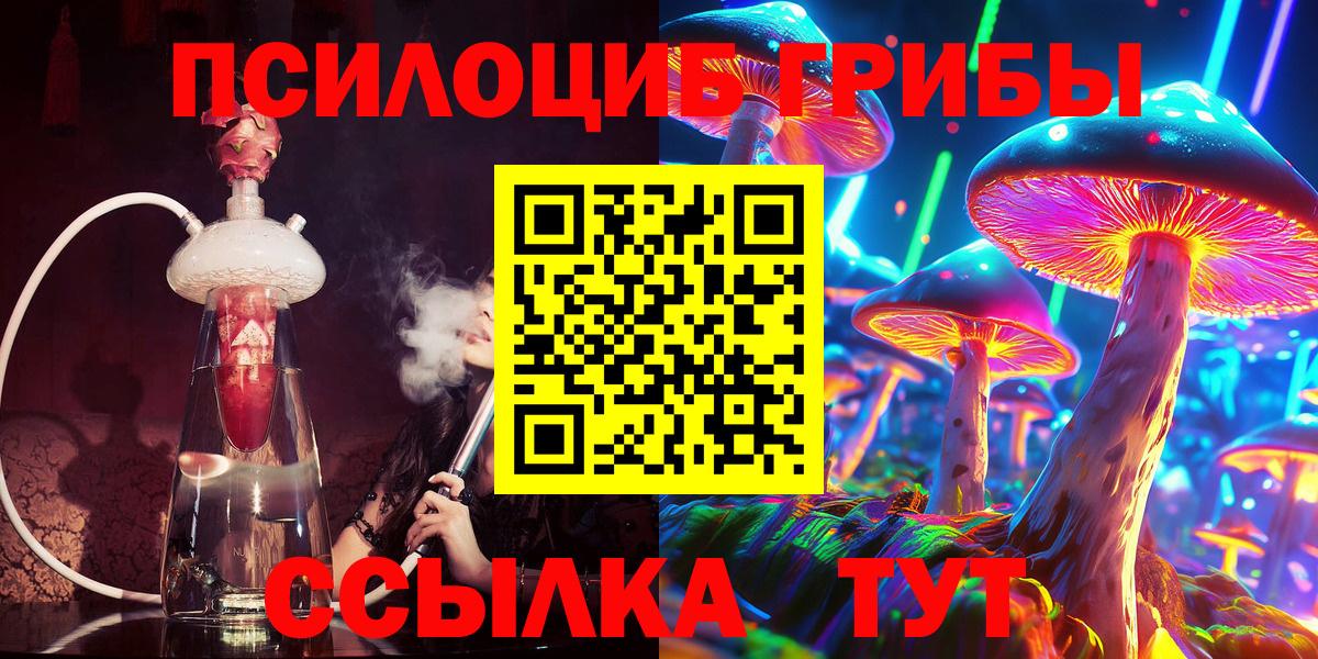 Галлюциногенные грибы Psilocybe Среднеуральск