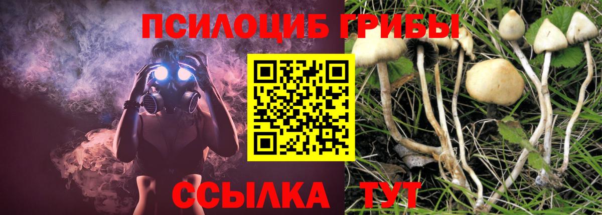 сколько стоит  Вход с VPN  Псилоцибиновые грибы Psilocybe  Среднеуральск  Псилоцибиновые грибы Psilocybe 